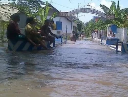 Banjir Meluas di Situbondo, Jalur Pantura dan Rumah Warga Ikut Tergenang