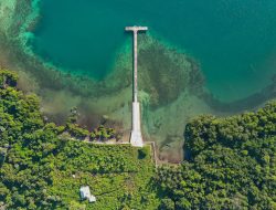 Pemerintah Resmi Tetapkan Perairan Wetar Barat Sebagai Kawasan Konservasi Laut Nusantara