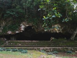 Seni Prasejarah Terpurai: Lukisan Gua Tertua di Dunia Berusia 67.800 Tahun Ditemukan di Pulau Muna, Sulawesi Tenggara