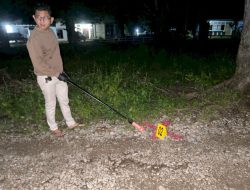 Aksi Penembakan Burung Hantu di Belu, NTT: Dari Gangguan Tidur hingga Proses Hukum
