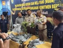 Ekspor Satwa Dilindungi Digagalkan Bea Cukai