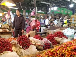 Cabai Rawit Melonjak, Cuaca Ekstrem Disalahkan