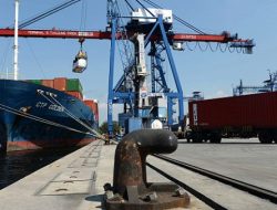 Ekspor Udang RI Melonjak ke AS