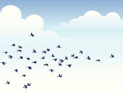 Migrasi Satwa Liar dan Risiko Virus Nipah