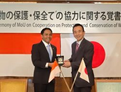 Pemerintah Indonesia–Jepang Perkuat Konservasi Satwa