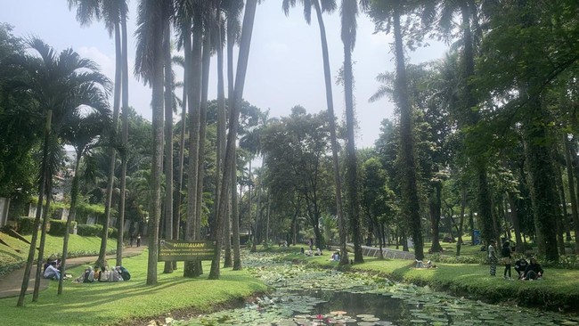 suasana taman langsat yang akan digabung dengan taman leuser dan taman ayodya menjadi taman bendera pusaka jakarta selatan