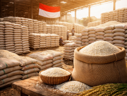 Stok Beras RI Rekor, Ketahanan Pangan Aman