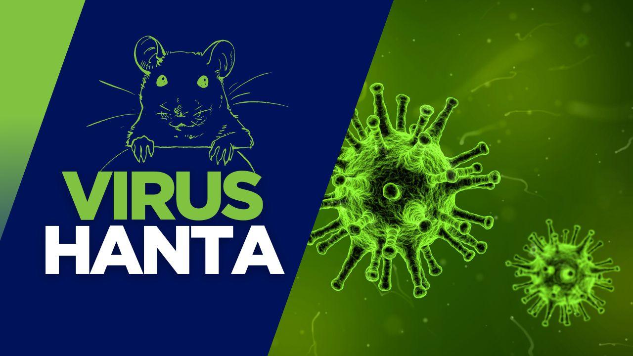 indonesia waspada virus hanta