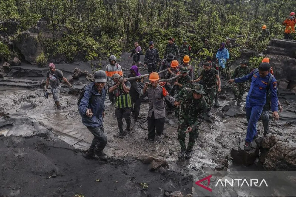 Tim SAR gabungan membawa kantong berisi jenazah pendaki korban erupsi Gunung Dukono di Kecamatan Galela, Kabupaten Halmahera Utara, Maluku Utara, Sabtu (9/5/2026). Tim SAR gabungan menemukan satu korban bernama Engel Krishela Pradita sekitar pukul 14.30 WIT, sementara dua pendaki warga negara asing masih dalam pencarian karena hujan dan abu vulkanik Gunung Dukono menghambat proses evakuasi. ANTARA FOTO/Andri Saputra/agr
