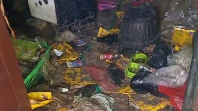 Kontrakan Horor di Bekasi, Puluhan Tengkorak Kucing Ditemukan Berserakan di Dalam Rumah