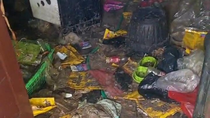Kontrakan Horor di Bekasi, Puluhan Tengkorak Kucing Ditemukan Berserakan di Dalam Rumah