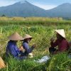 Pangan dan Industri, Dua Pilar Penggerak Ekonomi