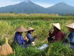 Pangan dan Industri, Dua Pilar Penggerak Ekonomi